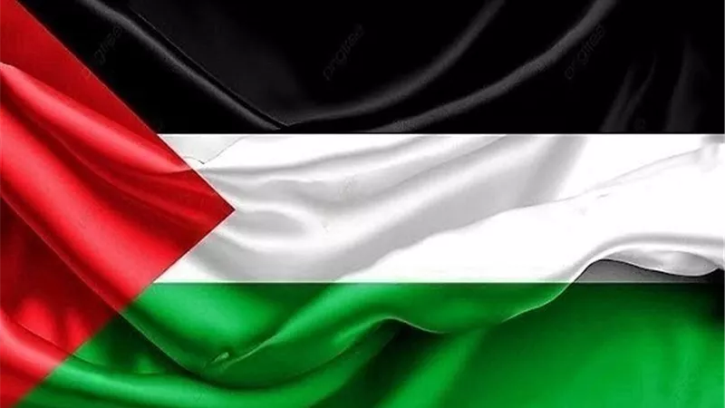 الخارجية: مصر تحيي اليوم الدولي للتضامن مع الشعب الفلسطيني