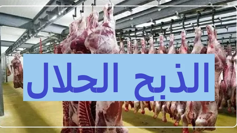 توجيه الحيوان إلى القبلة هل يعد شرطاً للذبح الحلال؟ الإفتاء تجيب