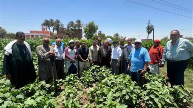 الزراعة تنفيذ المرحلة الثانية لمشروع تحسين الزراعة الموجهة للسوق