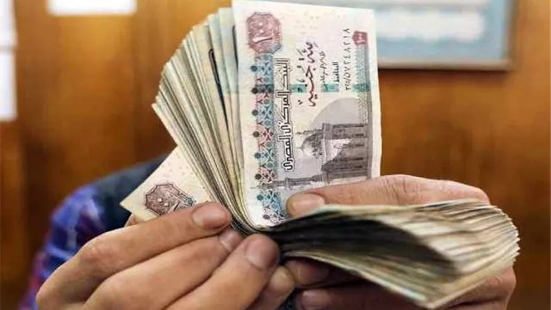 التأمينات تكشف عن حقيقة زيادة المعاشات خلال يناير 2025