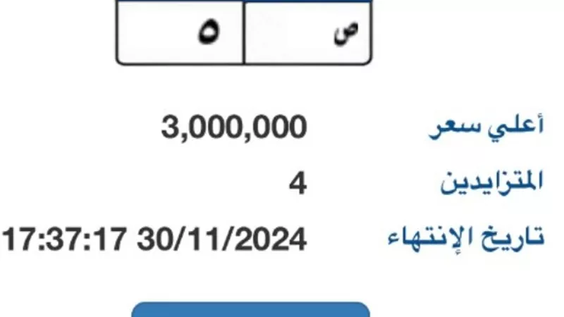 يصل سعرها 3 ملايين جنيه.. مزايدة على لوحة سيارة مميزة