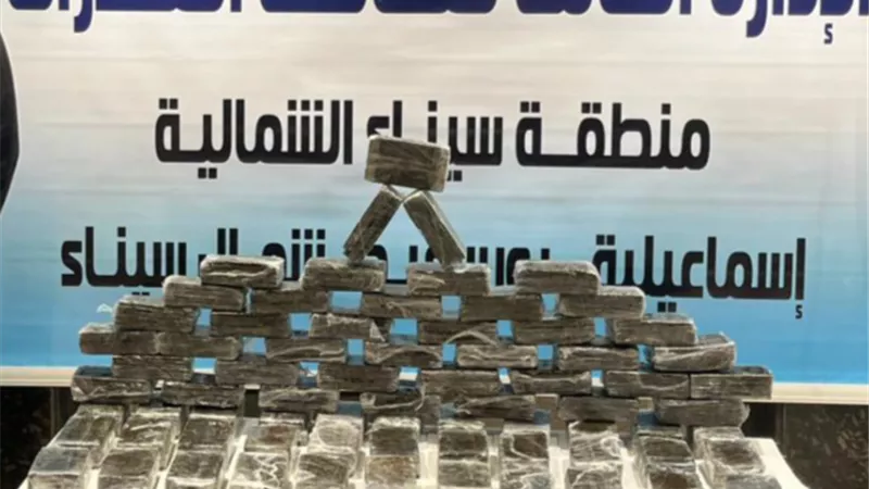 ضبط 3 عناصر اجراميه ب