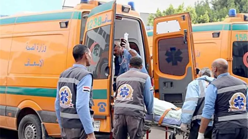 وفاة طالبة بالطب البيطرى إثر سقوط نخلة عليها بالشرقية