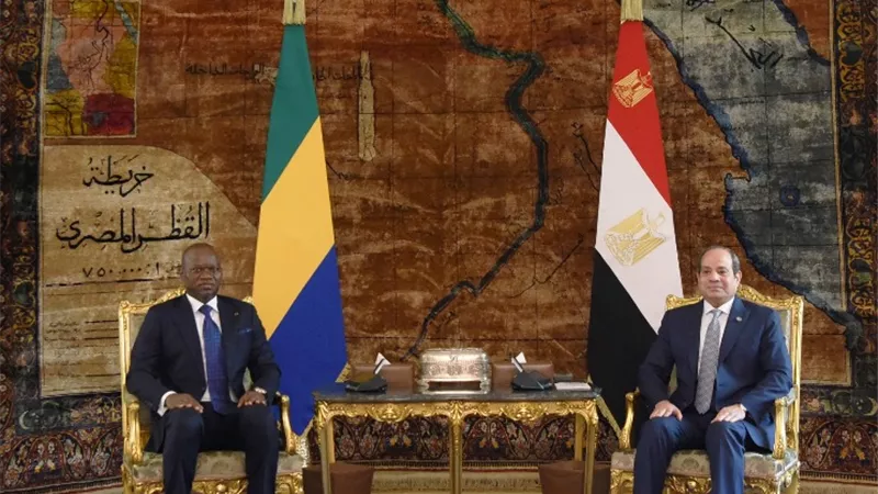 المتحدث الرئاسي ينشر صور استقبال الرئيس نظيره الجابوني بقصر الاتحادية