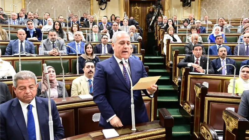 عبد الصادق الشوربجي يؤدي اليمين رئيسًا للهيئة الوطنية للصحافة أمام النواب