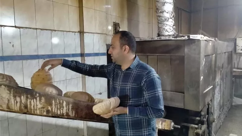 استمرار الحملة التموينية فجرا على مخابز كفر الشيخ