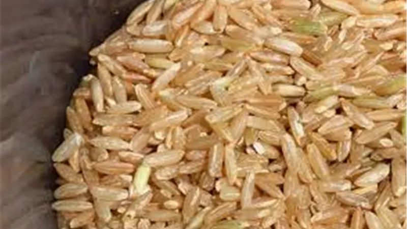 تعرف على اكثر انواع الأرز فائدة لصحتك