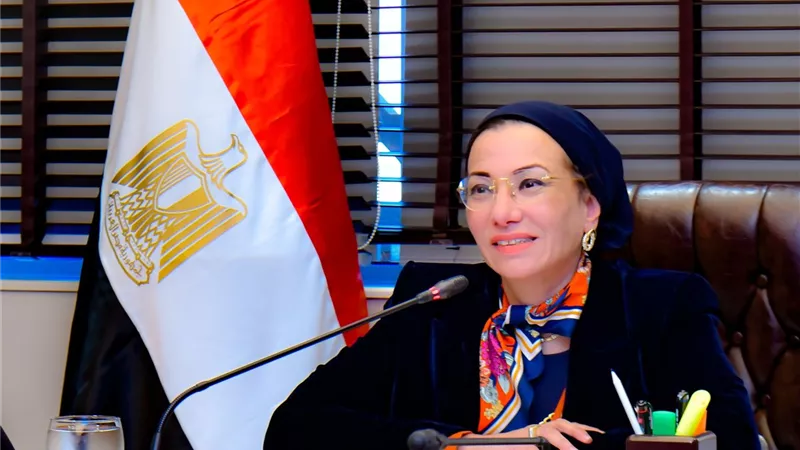 تعيين الدكتور خالد فهمي مديرا تنفيذيا لمركز البيئة والتنمية