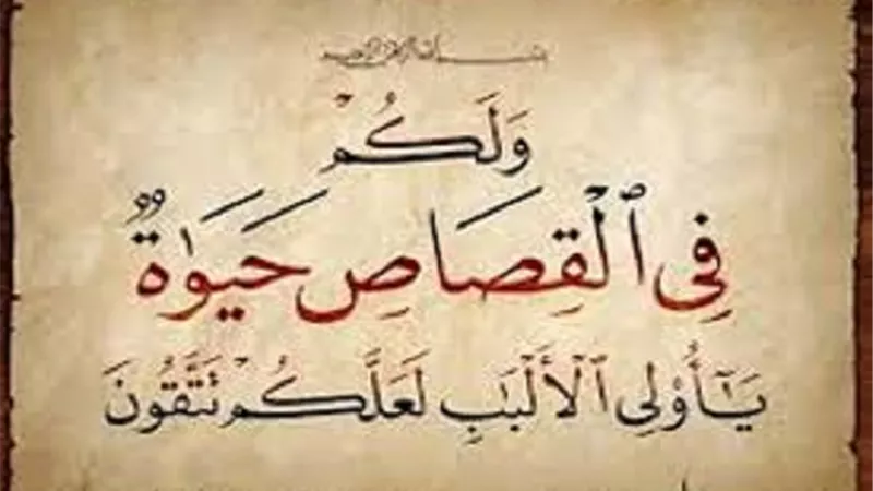د.على جمعة:الشريعة الاسلامية قامت على حفظ النفس وعصمة الدماء