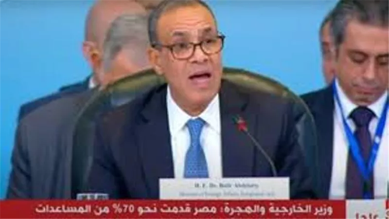 وزير الخارجية: العدوان الإسرائيلي على غزة خلف حجما هائلا من الدمار