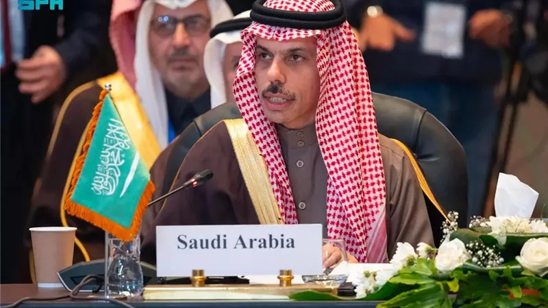 وزير الخارجية السعودي يؤكد أن ما تتعرض له غزة من إبادة وحشية يعد أكبر اختبار للنظام الدولي