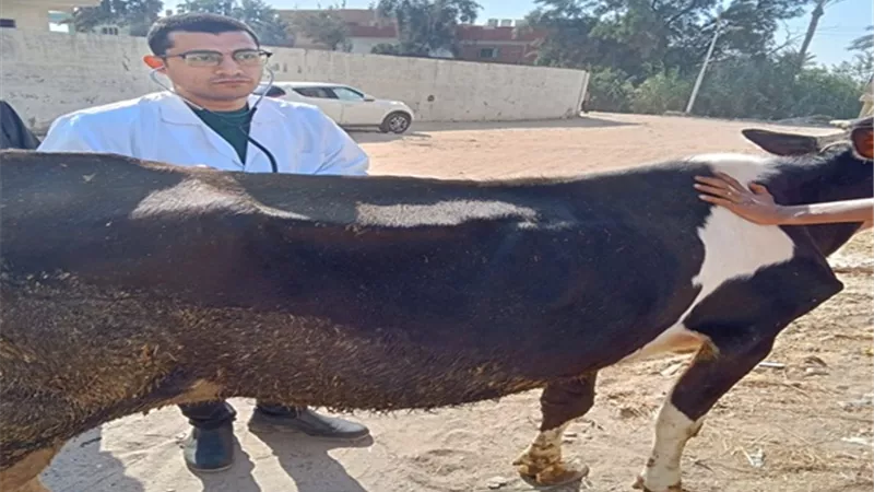 كلية طب بيطري الزقازيق توجه قافلة مجانية لقرية الغوارنة