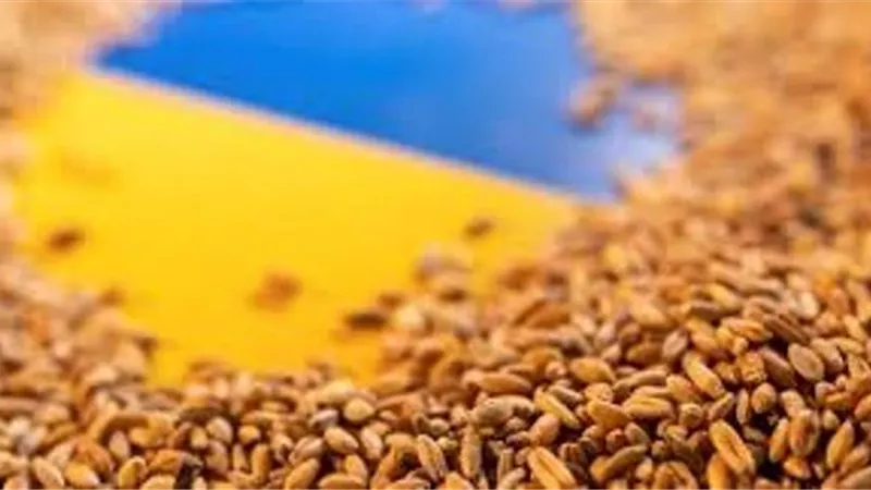 أوكرانيا تصدر أكثر من 18 مليون طن من الحبوب هذا العام