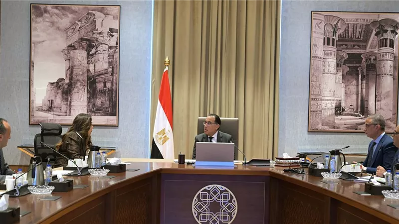 مدبولى:مشروع ياباني لتصنيع ضفائر السيارات بالفيوم