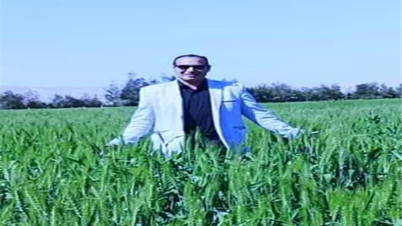 استعدادات زراعه جنوب سيناء لاستقبال موسم زراعه القمح موسم 2024/25