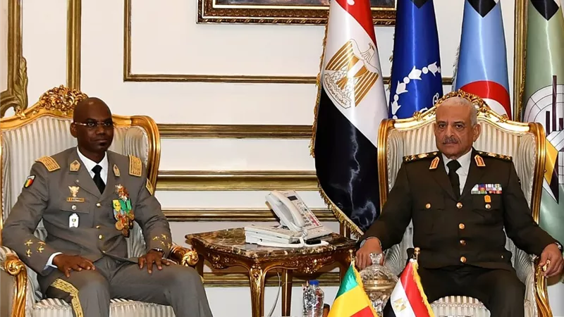 الفريق أول عبد المجيد صقر يلتقى وزير الدفاع الوطنى لجمهورية مالى