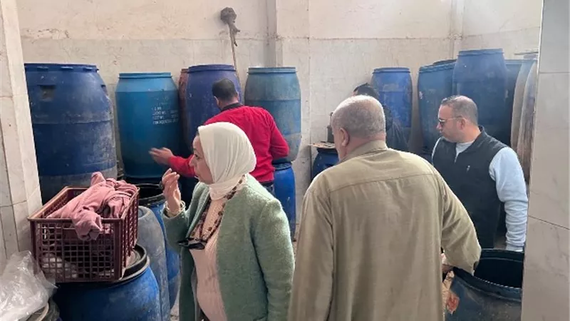ضبط 11طن مخلل و95 صفيحة جبنة غير صالحة للاستهلاك الادمي بالدقهلية
