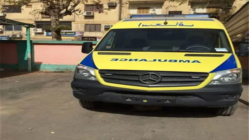 مقتل شخص إثر طلق عيار نارى باسوان