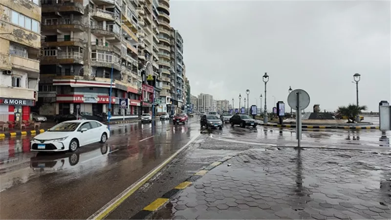 تداول 173الف طن بضائع و3197 حاوية بميناء الاسكندرية
