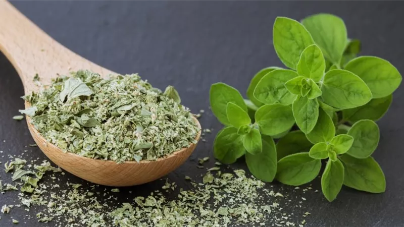 التخلص من الأرق وتحسين المزاج أبرز فوائد زيت البردقوش العديدة