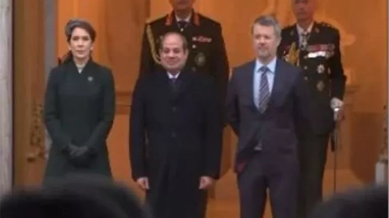 الرئيس السيسي يلتقي ملك الدنمارك