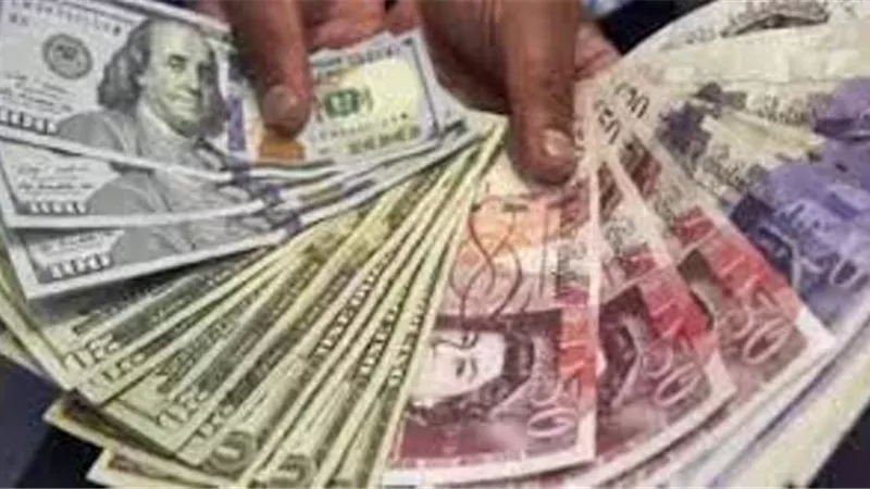 بـ 18 مليون جنيه.. ضبط عملات أجنبية فى السوق السوداء