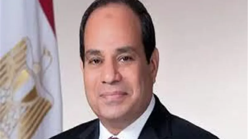 السيسي: الأهداف المشتركة لمصر والدنمارك فرصة ثمينة لتعزيز التعاون بين بلدينا