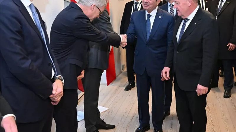 الديهي: 