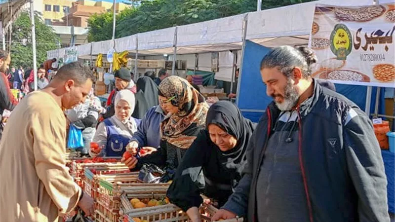 قطار سوق اليوم الواحد يصل حى العجمى البيطاش