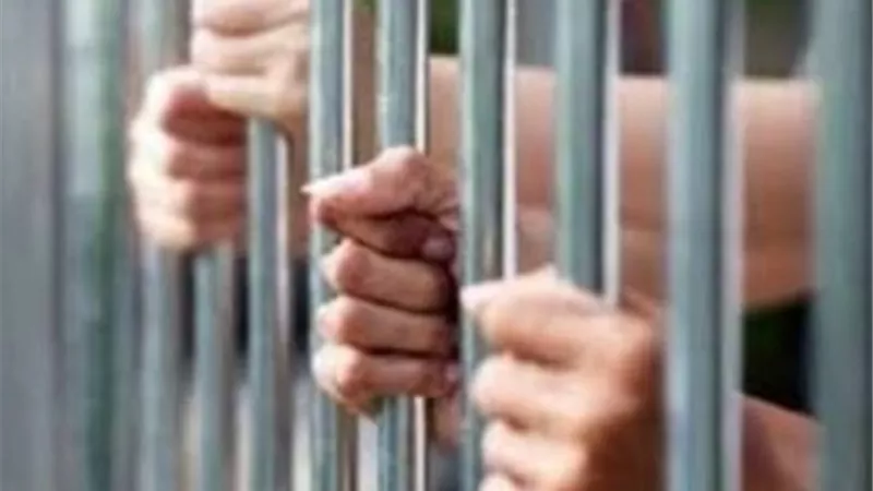 لإتجارهما في المخدرات.. المشدد 10 سنوات لبائع و5 لآخر بالقليوبية
