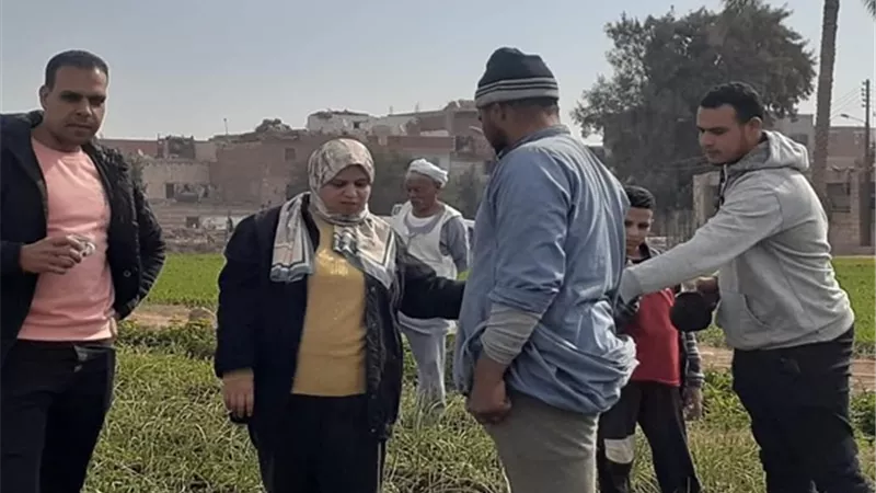 متابعة زراعة محصول القمح بمراكز سمالوط وديرمواس