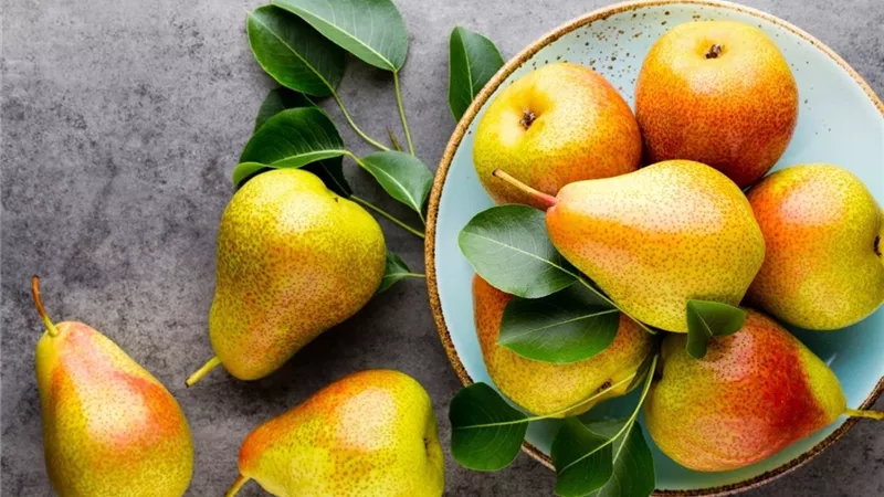 طرق تضمين الكمثرى فى تغذية الحامل