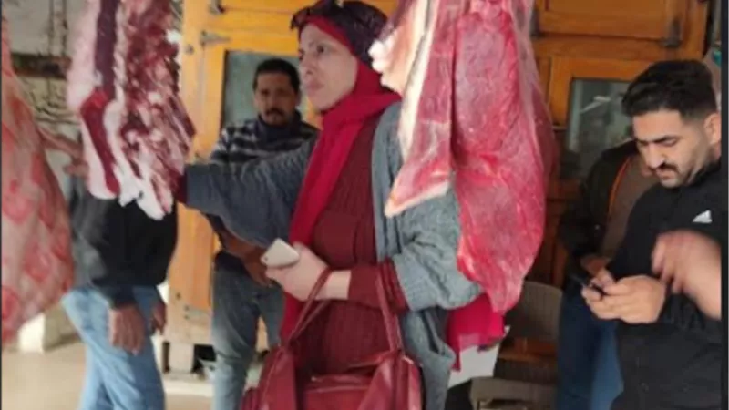 ضبط 3 طن دجاج و لحوم وأغذية متنوعة فاسدة بالدقهلية