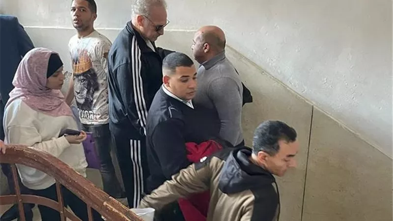 حبس عمر زهران سنتين مع الشغل والنفاذ في سرقة مجوهرات زوجة خالد يوسف