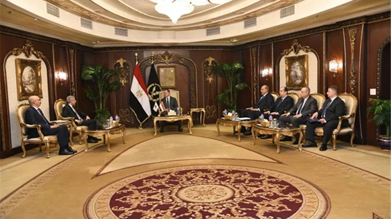 وزير الداخلية يستقبل كومان للإعداد للإجتماع الوزارى السنوى