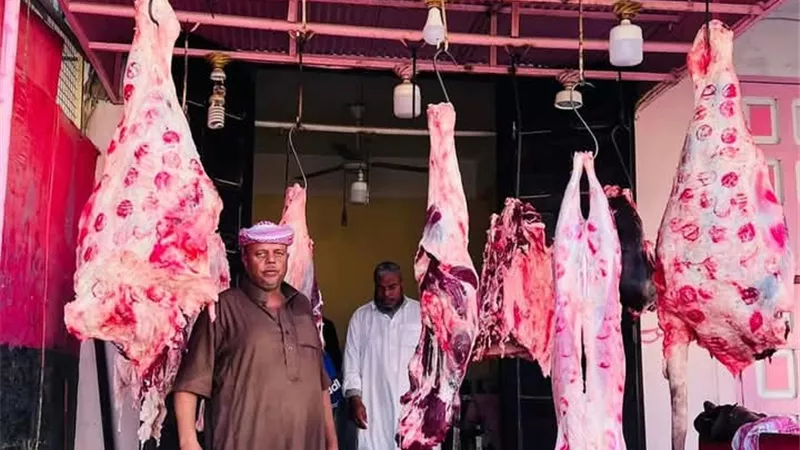 مركز ومدينة سيوة يطلق بمبادرة 