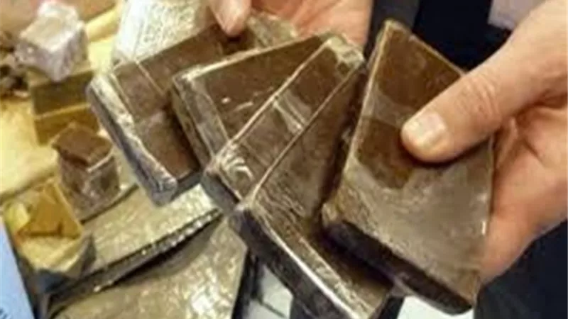 ضبط شخص غسـل 60 مليون جنيه من تجارة المخدرات