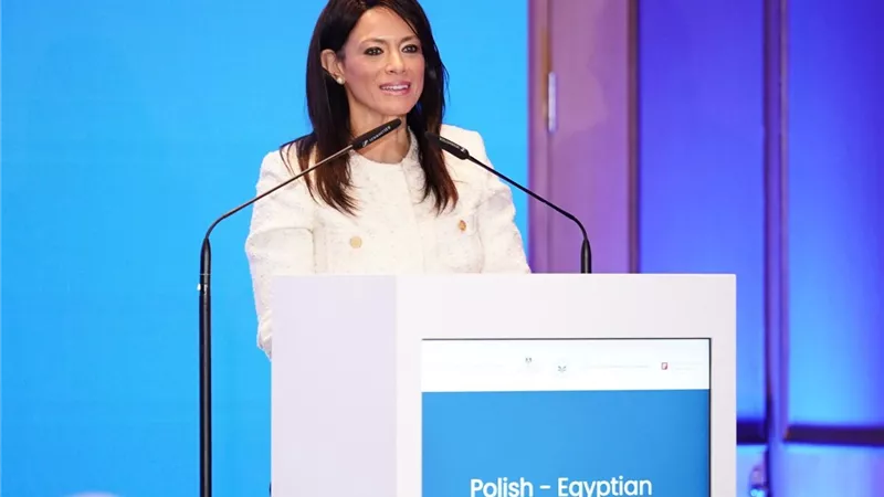 المشاط: تسهيل مهمة المستثمرين البولنديين لاستكشاف السوق المصرية