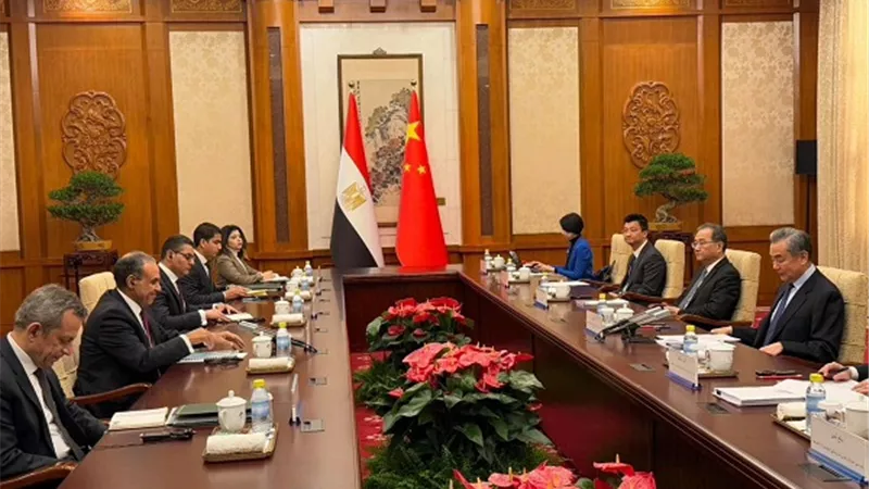 وزير الخارجية يترأس الجانب المصري للحوار الاستراتيجي بين مصر والصين