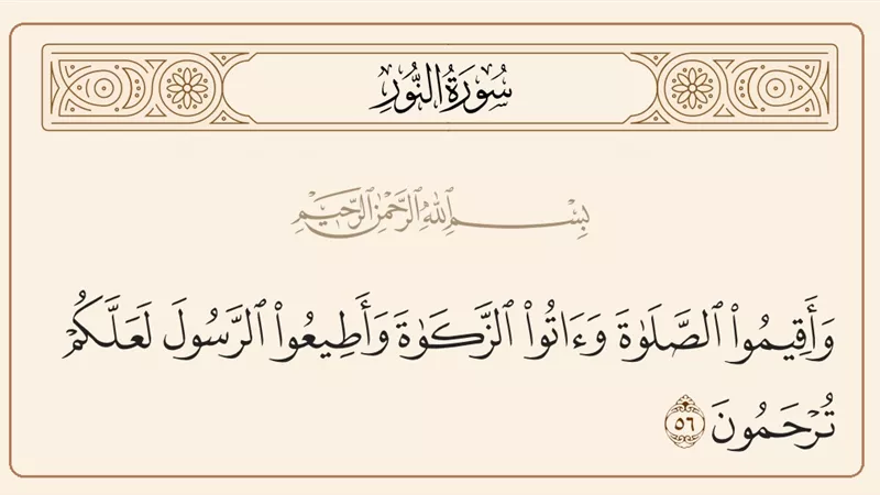الإفتاء: الزكاة دين يجب سداده عن المتوفى.. والصلاة لا تقبل الإناب