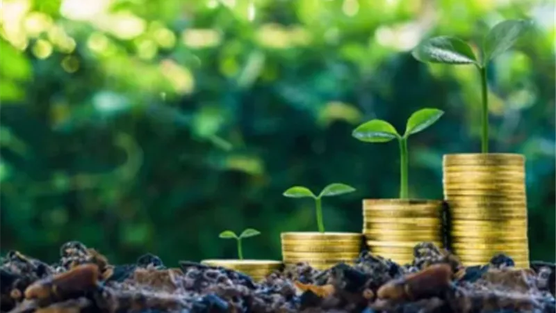 أهم 5 معلومات عن السندات الخضراء ومشروعاتها