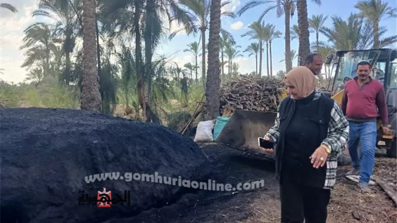 إزالة مكامير الفحم المخالفة بدمياط