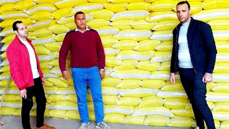 اسمدة و فاصوليا و 64 اسطوانة غازفى حملات تموينية بالبحيرة