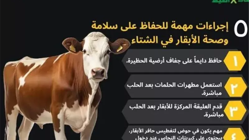 زراعة بورسعيد تعلن 5 إرشادات لأصحاب حظائر الماشية شتاء