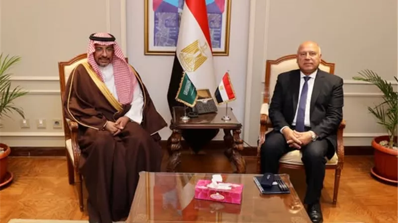 الوزير ونظيره السعودي يبحثان سبل التعاون والتكامل الصناعي بين البلدين