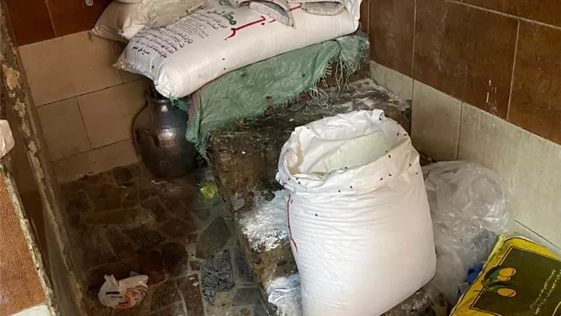 إعدام 2 طن مواد غذائية وعصائر وتحرير 227 محضرا بالدقهلية