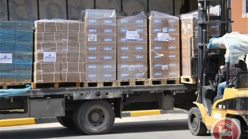 البرتغال تسلم مصر شحنة أدوية ومعدات طبية لصالح المرضى الفلسطينيين