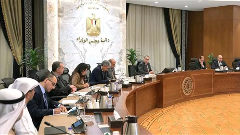 مدبولي يلتقي عدداًمن مسئولي الشركات الإماراتيةلمناقشةمشروعات استثمارية