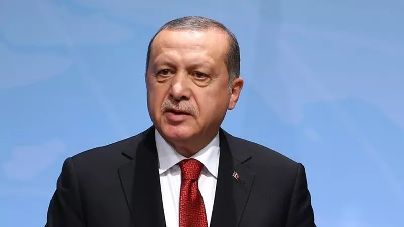 أردوغان: أشكر الرئيس السيسي على استضافة القمة الـ11 لمنظمة الدول الثماني النامية