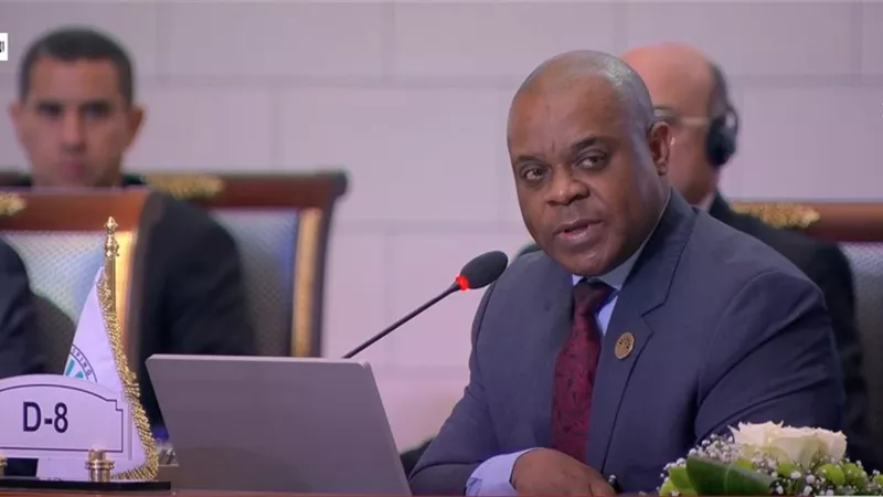 سكرتير عام منظمة الدول الثماني يدعو لتأسيس صندوق تمويل لدعم مشروعات الأعضاء